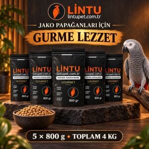 Lintu Afrika Gurme Jako Papağan Pelet Yemi – 5 × 800 g (4 kg)