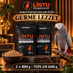 Lintu Afrika Gurme Jako Papağan Pelet Yemi – 2 × 800 g (1600 g)