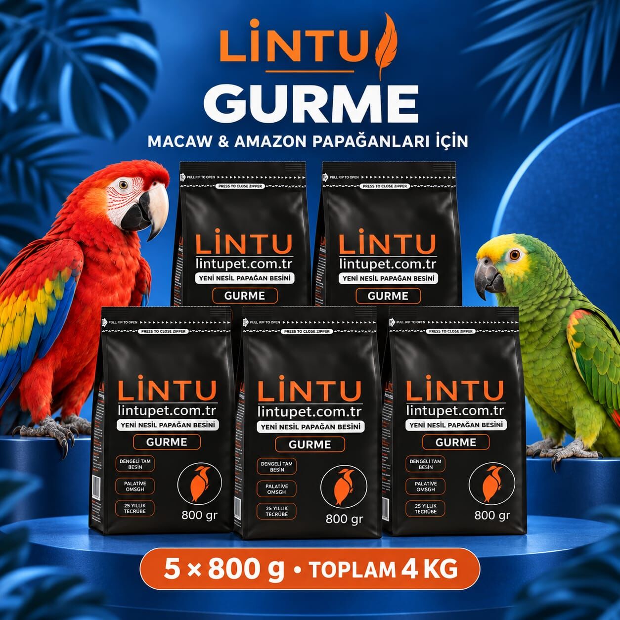 macaw-papagan-amazon-yemi
