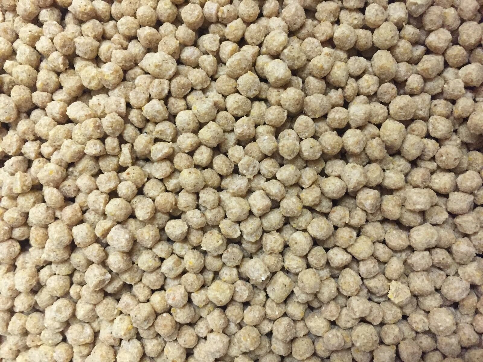 Lintu Üretim Besini 24/26 Protein  10 KG