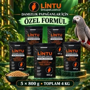 Lintu Jako papagan üretim pellet yemi
