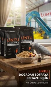 Lintu pellet yem üretim fabrikası