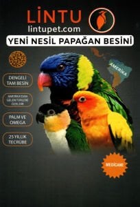 Lintu Kayık Caique Monk Quaker Cennet Papağanı Gurme Pelet Yemi 1600gr Tozsuz Formül