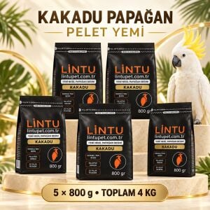 Kakudu papağan pellet yem
