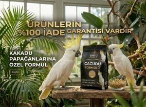 Kakudu papağan pellet yem