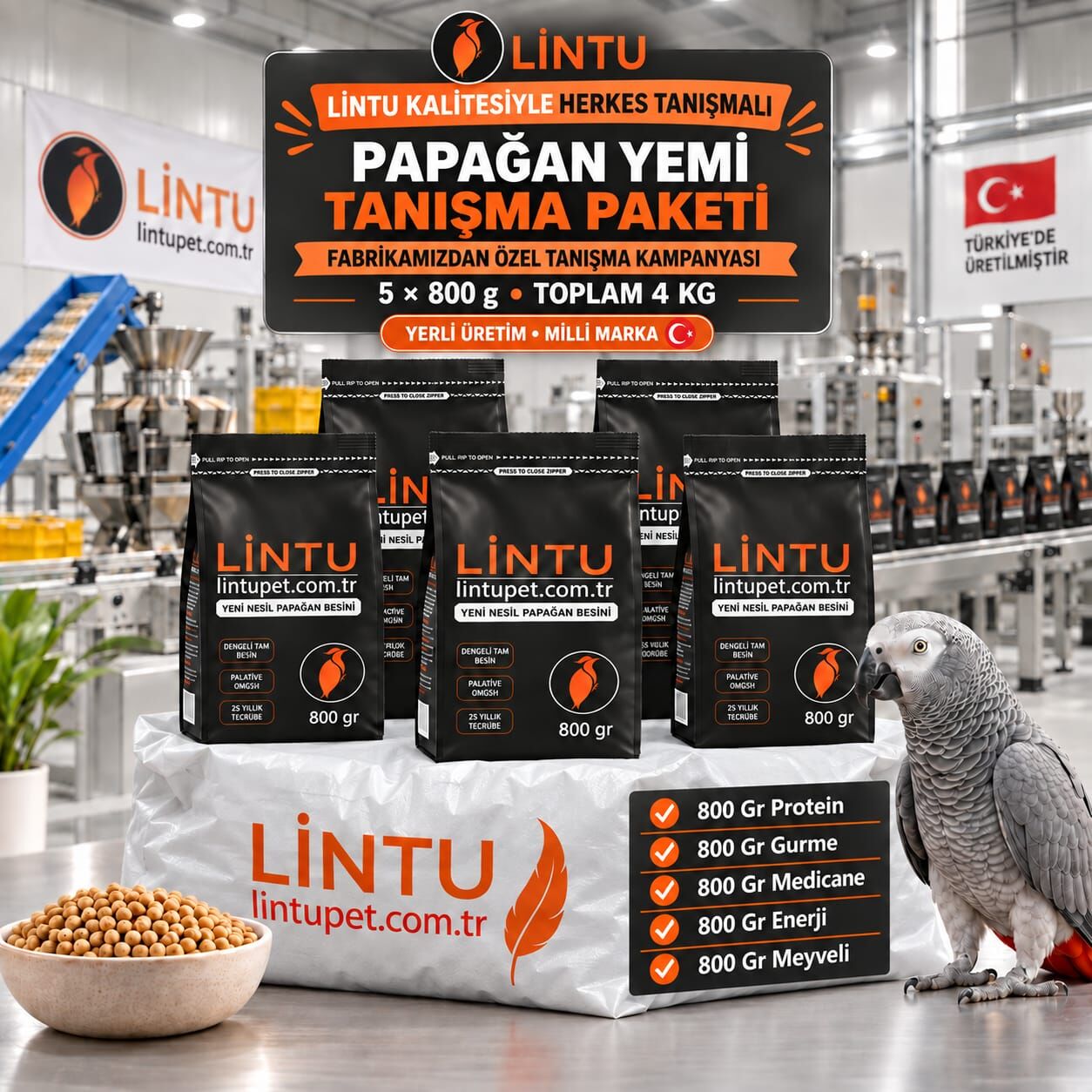 Lintu Papağan Yemi Tanışma Paketi – 5 × 800 g (4 kg)